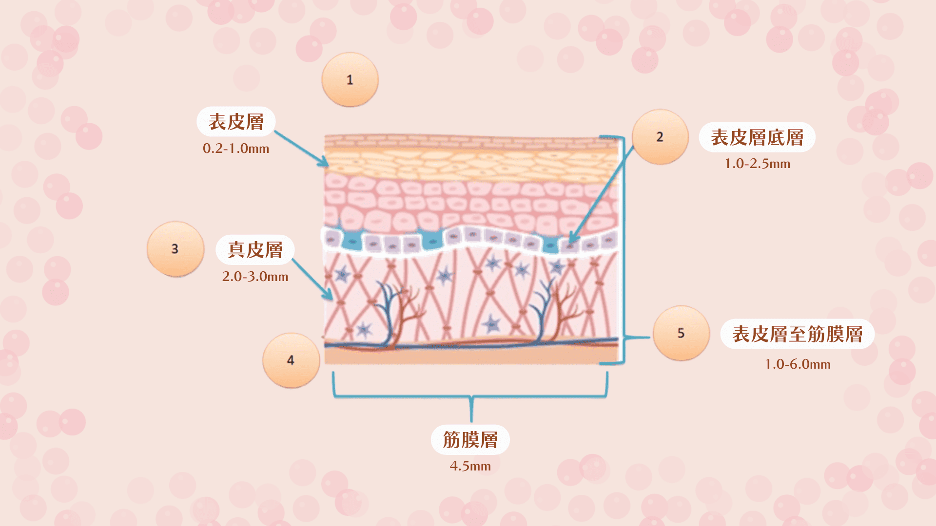 【銅鑼灣】港島美容銅鑼灣分店 - Beverly Skin Refining Center (Causeway Bay) - Prestige ...