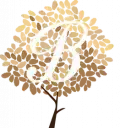 bvskin_logo_edited_edited